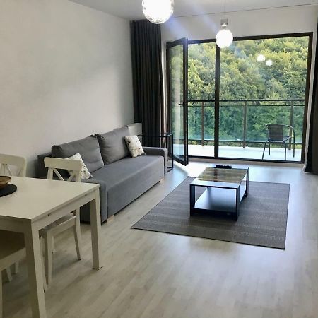 Nature View Apartment Брашов Екстериор снимка