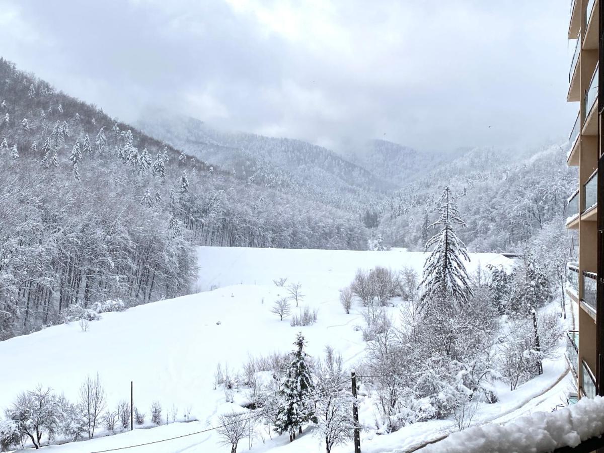 Nature View Apartment Брашов Екстериор снимка