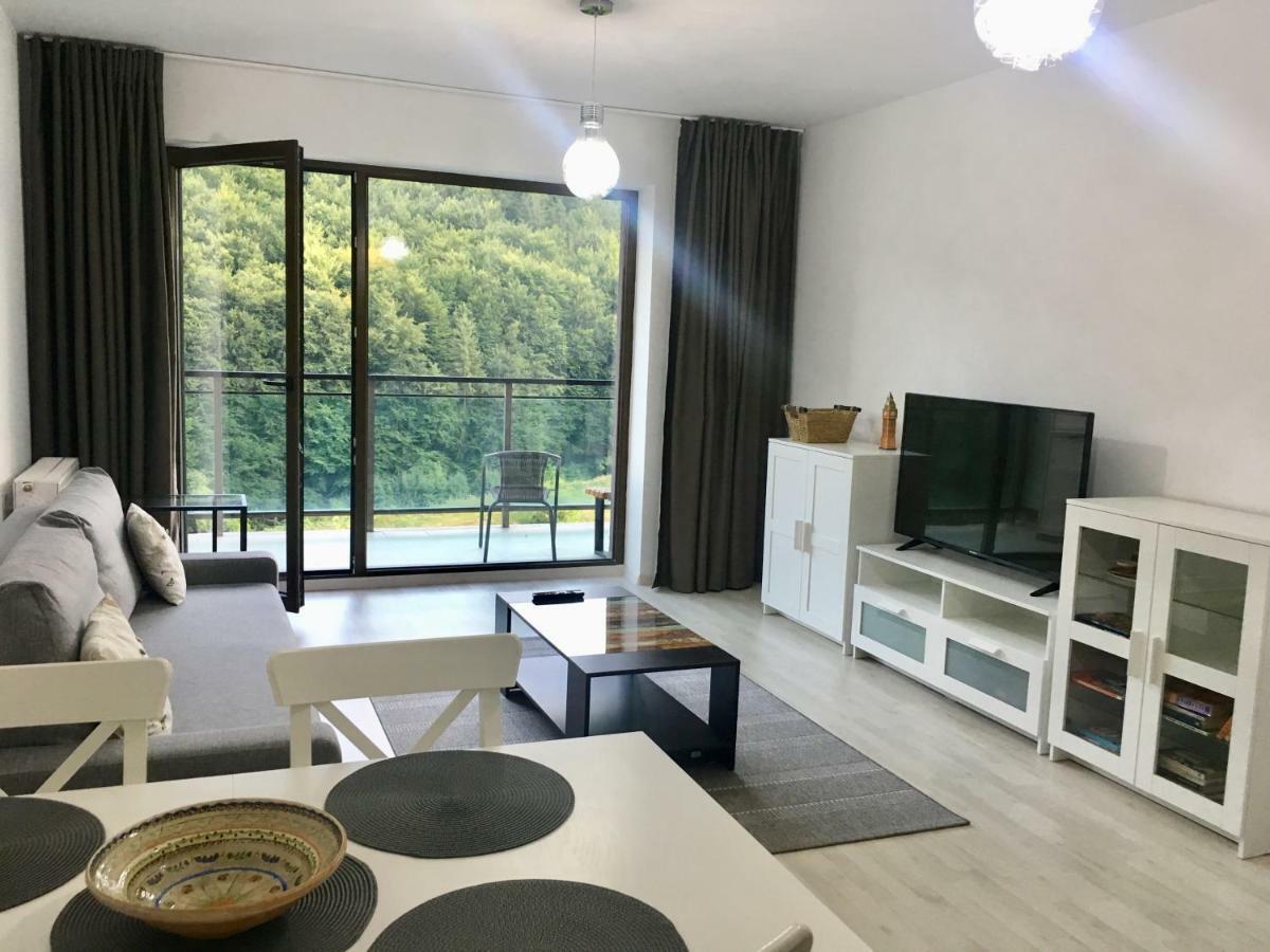 Nature View Apartment Брашов Екстериор снимка