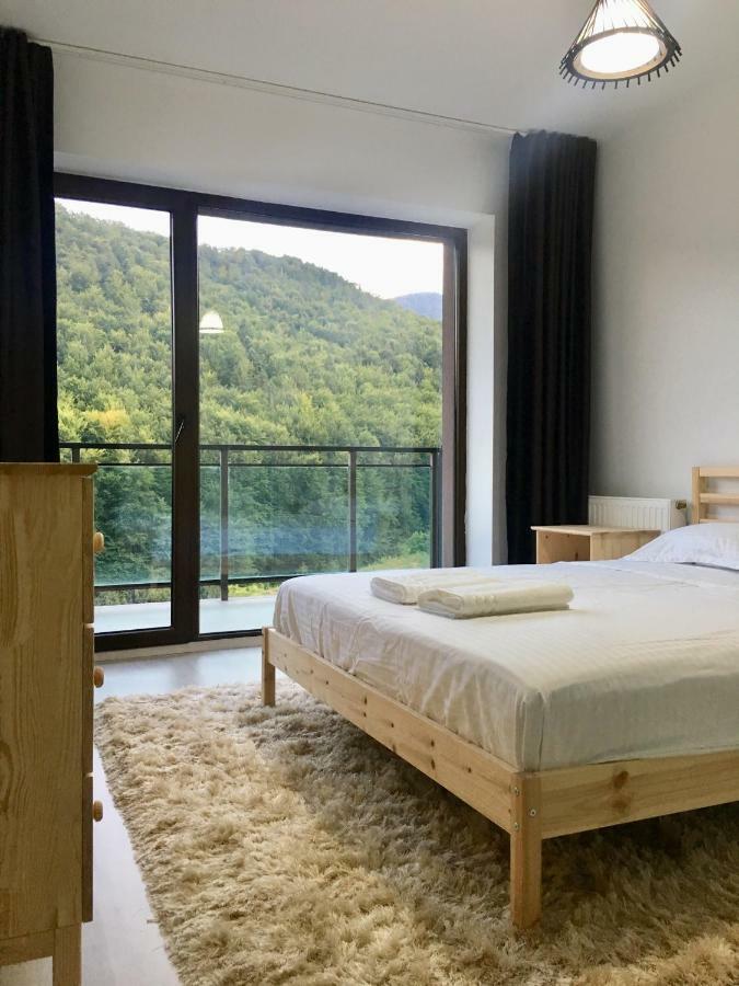 Nature View Apartment Брашов Екстериор снимка