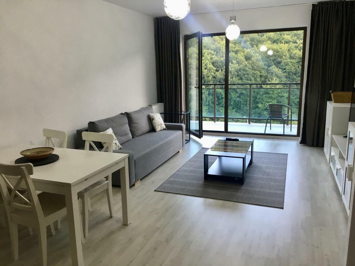 Nature View Apartment Брашов Екстериор снимка