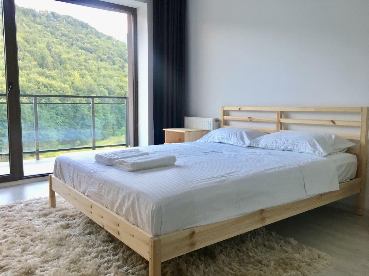 Nature View Apartment Брашов Екстериор снимка