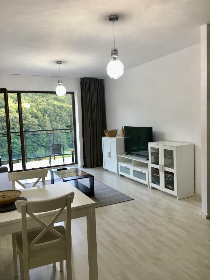 Nature View Apartment Брашов Екстериор снимка
