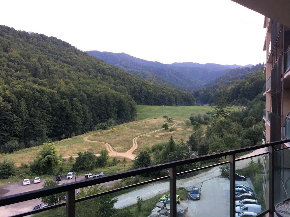 Nature View Apartment Брашов Екстериор снимка